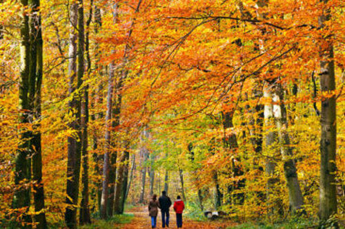 Autumnal Escapes In Northumberland