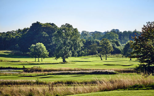 Golf Landscapes 301 Copy 920X575
