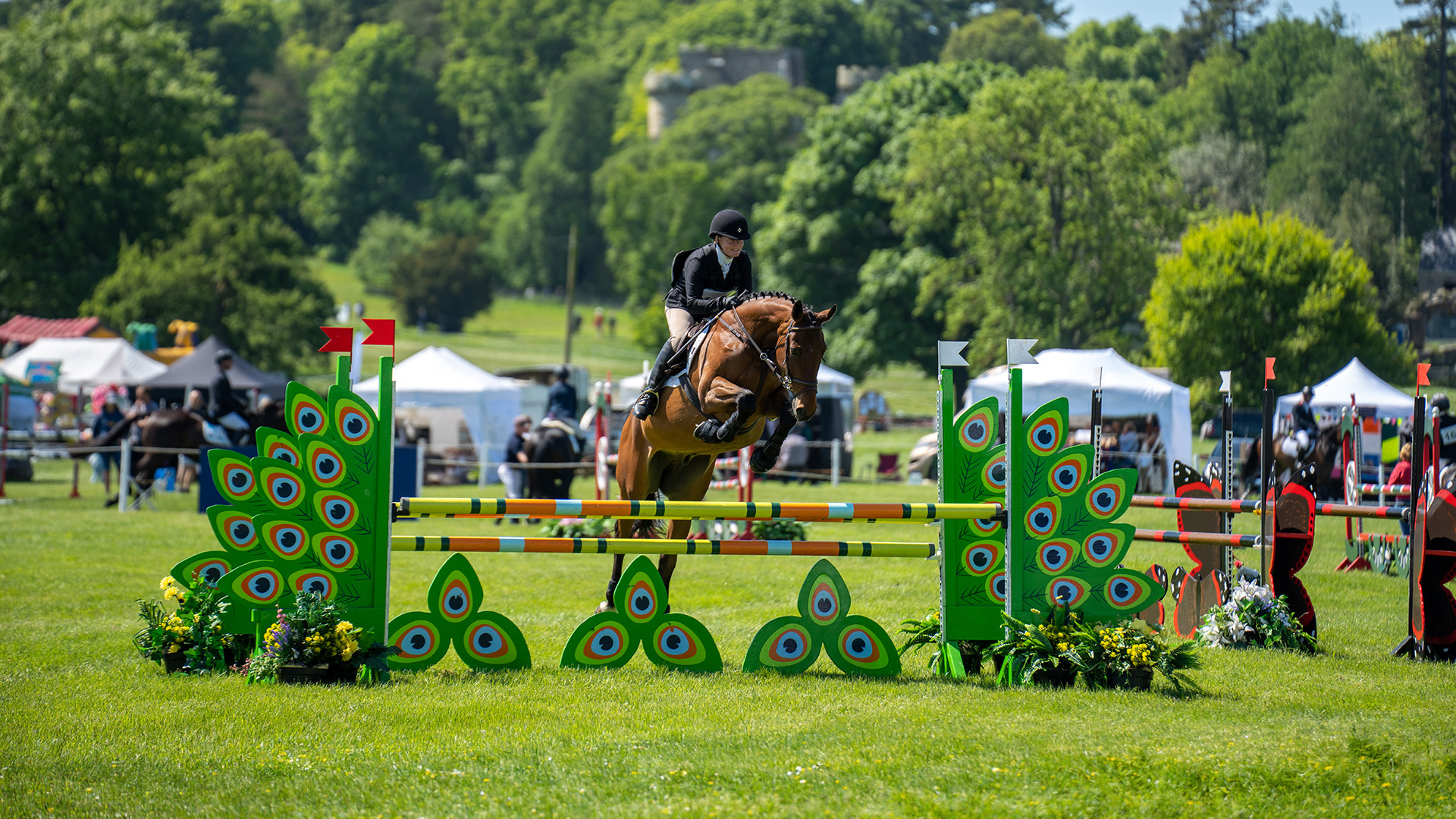 MAT Horse Trials Header Desktop 1