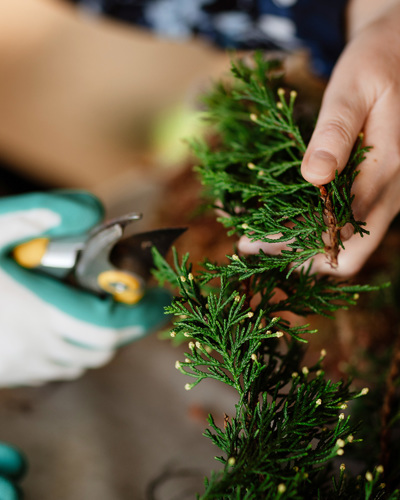 Wreathmaking 2