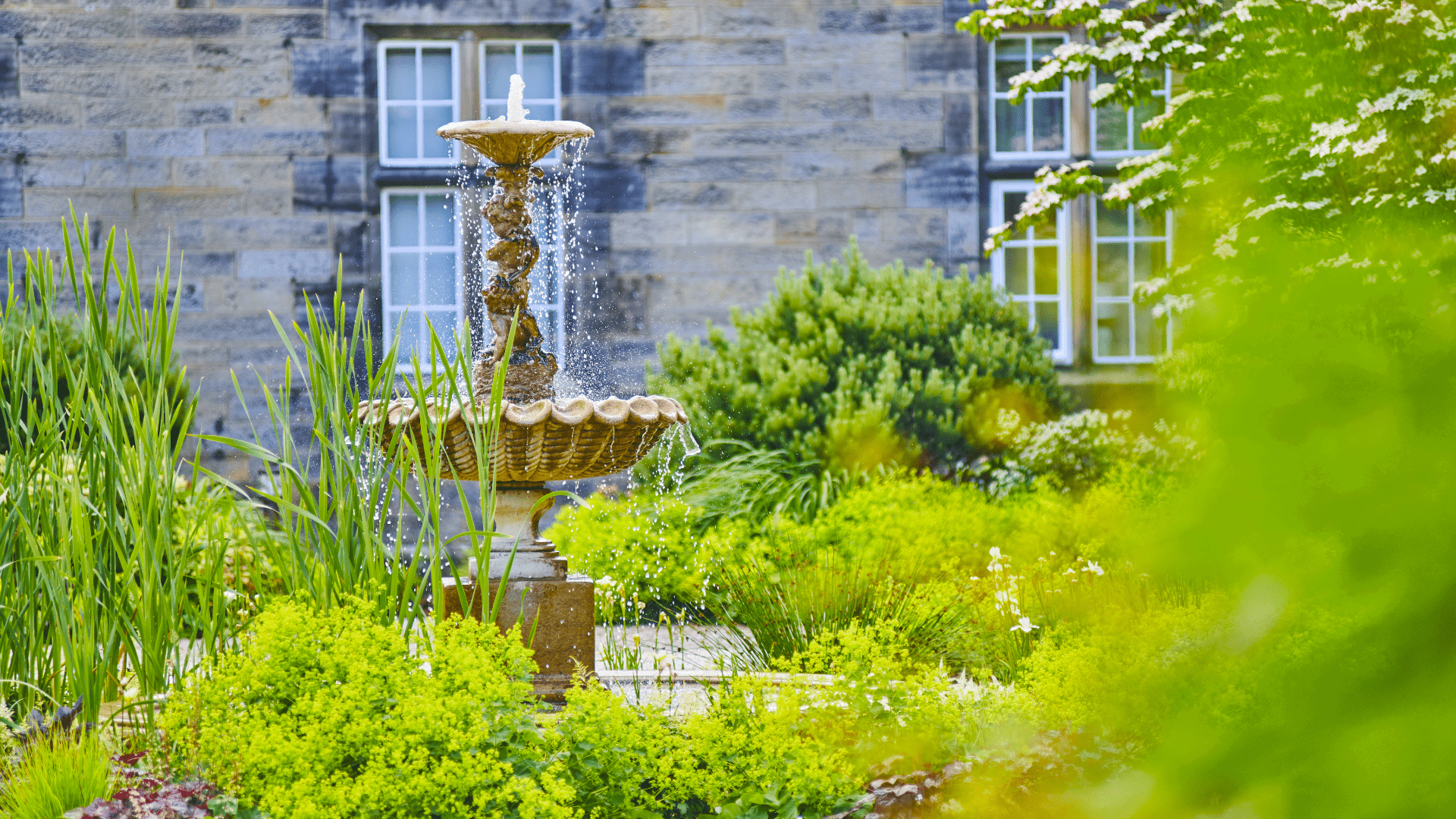 Fountain Header Min 1920X1080