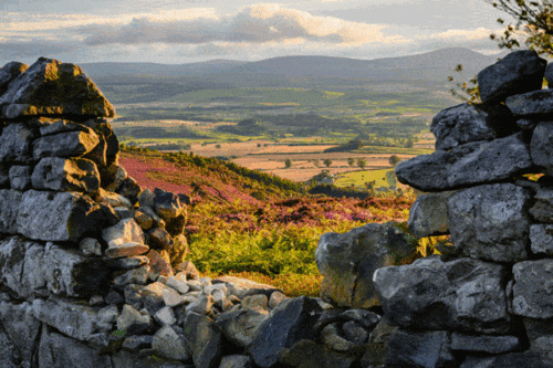 MAT 10902 Hardrians Wall Blog