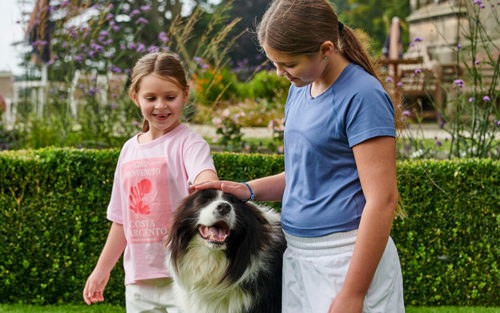 MAT 10132 Dog Friendly Gallery 3 920X575