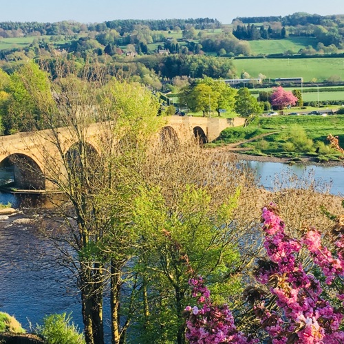 Northumberland countryside with bridge over river
