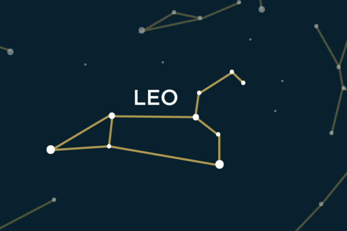 Spotlight Leo 80 1 768X564