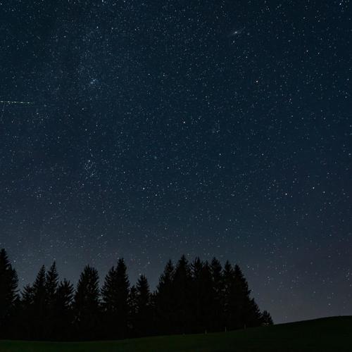 Star Gazing