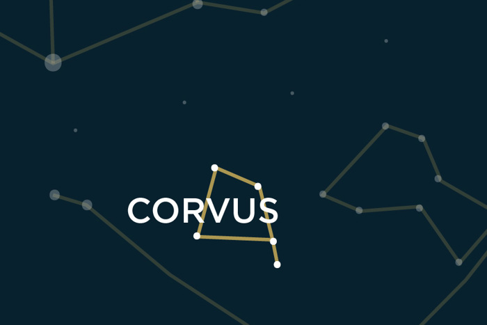 Spotlight Corvus 80