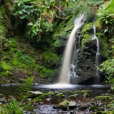 Mailchimp Image 2 960X680–Hindhopelinnwaterfallkielderforestpark 1 640X640