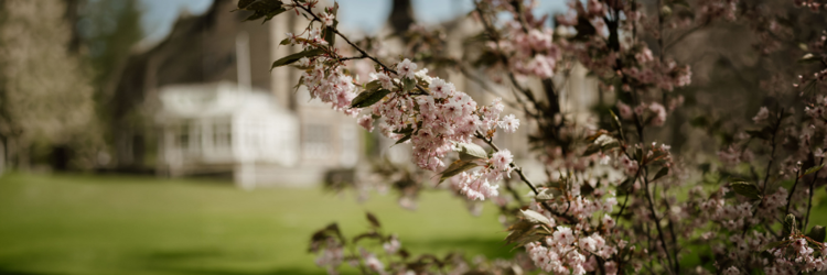 Bees, blooms and new plans for our heritage gardens