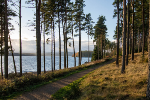 Northumberland scenic trail walk by lakeside