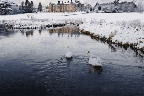 Your Winter Itinerary