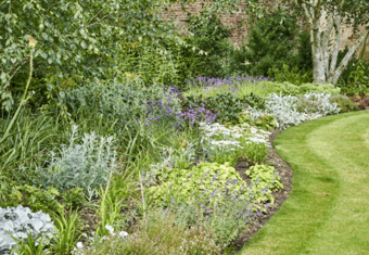 Garden Image 1 Min 640X640