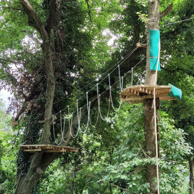 Goape Adobestock 398975307 640X640