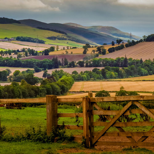 Norhtumberland scenic farmland view