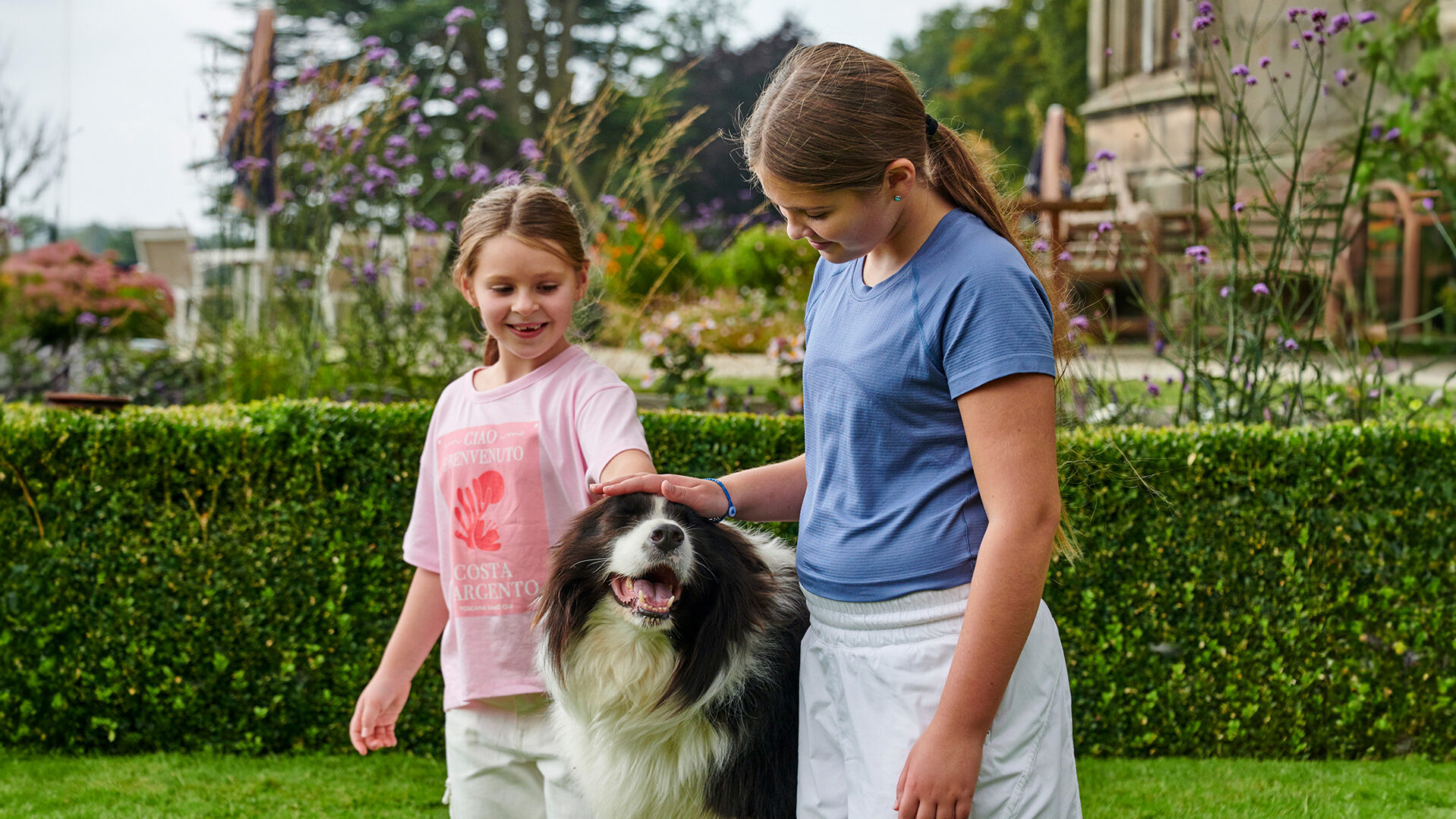 MAT 10132 Dog Friendly Header 1920X1080