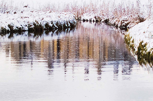 Wrap Up Warm 3 Local Walks To Try Before Christmas