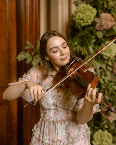 Violin
